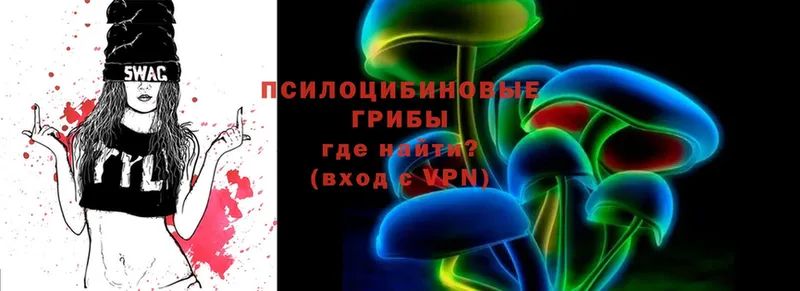 Псилоцибиновые грибы Cubensis  Руза 